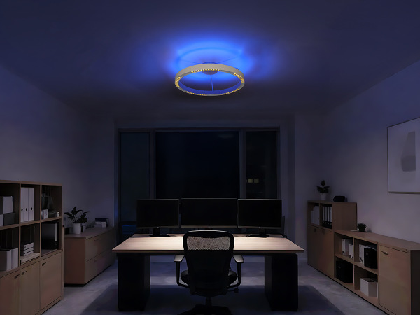 LINIA oprawa sufitowa 660 - 10010 2